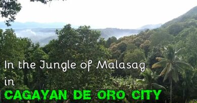 PHILIPPINEN MAGAZIN - VIDEOKANAL - In the Jungle of Malasag Foto und Video von Sir Dieter Sokoll