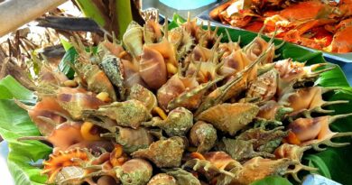 PHILIPPINEN MAGAZIN - TAGESTHEMA - Saang - die magischen Muscheln