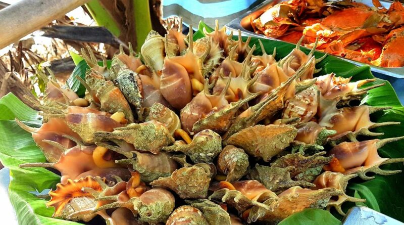 PHILIPPINEN MAGAZIN - TAGESTHEMA - Saang - die magischen Muscheln