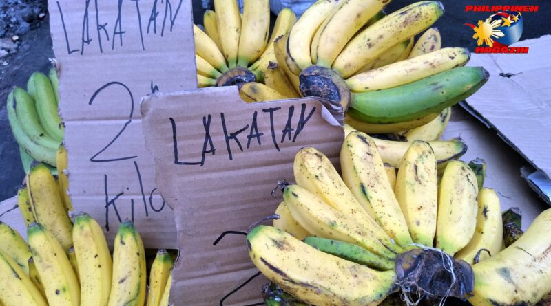 PHILIPPINEN MAGAZIN - FOTO DES TAGES - In den Philippinen hat man die Möglichkeit zwischen einigen Bananensorten seine Lieblingssorte auszusuchen. Da gibt es zum Glück nicht nur in Plastik geschrumpfte Bananen zu kaufen. Die gibt es zumindest auf den Märkten nicht nur frisch, sondern auch ganz ohne Plastik und das nicht nur Bananen. Hier werden Lakatan Bananen angeboten, eine sehr bekannte Bananensorte in den Philippinen. Auf meiner Webseite PHILIPPINEN REISEN habe ich einen Leitfaden zu philippinischen Früchten zusammengestellt – hier —>> Leitfaden zu 23 philippinischen Früchten Foto von Sir Dieter Sokoll
