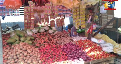 PHILIPPINEN MAGAZIN - FOTO DES TAGES - Gemüsestand auf der Marktstraße Foto von Sir Dieter Sokoll