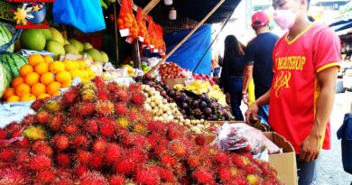 PHILIPPINEN MAGAZIN - FOTO DES TAGES - Obststand auf dem Straßenmarkt Foto von Sir Dieter Sokoll
