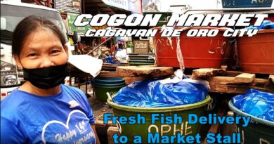PHILIPPINEN MAGAZIN - VIDEOKANAL - Frischfisch Anlieferung auf dem Markt Foto + Video von Sir Dieter Sokoll