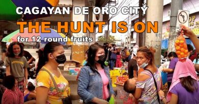 PHILIPPINEN MAGAZIN - VIDEOKANAL - DIE JAGD IST ERÖFFNET auf 12 runde Früchte Foto & Video von Sir Dieter Sokoll