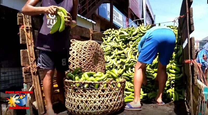 PHILIPPINEN MAGAZIN - FOTO DES TAGES - Cavendish-Bananen Lieferung Foto von Sir Dieter Sokoll, KOR