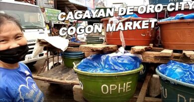 PHILIPPINEN MAGAZIN - BLOG - Fischlieferung auf dem Markt Foto von Sir Dieter Sokoll, KOR