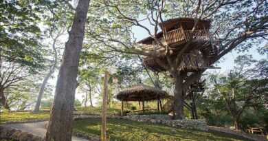 PHILIPPINEN MAGAZIN - TAGESTHEMA - BAUMHÄUSER - Stilts Calatagan Beach Resort's Serenitree & Eternitree Baumhäuser