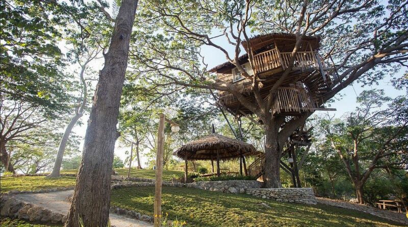 PHILIPPINEN MAGAZIN - TAGESTHEMA - BAUMHÄUSER - Stilts Calatagan Beach Resort's Serenitree & Eternitree Baumhäuser