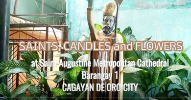 PHILIPPINEN MAGAZIN - VIDEOKANAL - SAINTS, CANDLES and FLOWERS at Saint Augustine Metropolitan Cathedral in Cagayan de Oro City Foto + Video von Sir Dieter Sokoll, KOR
