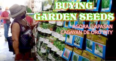 PHILIPPINEN MAGAZIN - VIDEOKANAL - Buying SEEDS from ANN'S AGRICULUTRUAL SUPPLY CAGAYAN DE ORO CITY Photo + Video by Sir Dieter Sokoll, KOR for PHILIPPINE MAGAZINE