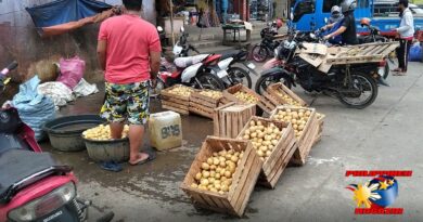 PHILIPPINEN MAGAZIN - FOTO DES TAGES - Kartoffelwäscher am Markt Foto von Sir Dieter Sokoll, KOR