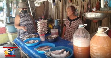 PHILIPPINEN MAGAZIN - FOTO DES TAGES - Fischkauf auf der Straße Foto von Sir Dieter Sokoll, KOR
