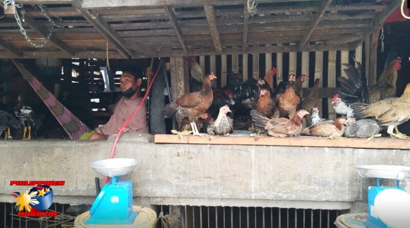 PHILIPPINEN MAGAZIN - FOTO DES TAGES - Lebende Hühner zum Verkauf auf dem Markt Foto von Sir Dieter Sokoll, KOR