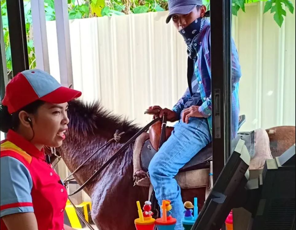 PHILIPPINEN MAGAZIN - NACHRICHTEN - Pferde sind eine Mapnahme gegen steigende Treibstoffpreise in Bukidnon