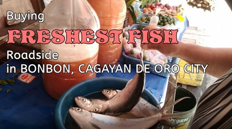 PHILIPPINEN MAGAZIN - VIDEOKANAL - Den FRISCHESTEN FISCH auf der Straße kaufen Foto + Video von Sir Dieter Sokoll, KOR