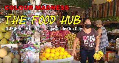 PHILIPPINEN MAGAZIN - VIDEOKANAL - Colour Madness at the Fruitstand THE FOOD HUB Foto + Video von Sir Dieter Sokoll, KOR