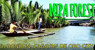 PHILIPPINEN MAGAZIN - VIDEOKANAL - NIPAWALD in BONBON Foto + Video von Sir Dieter Sokoll, KOR