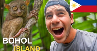 PHILIPPINEN MAGAZIN - VIDEOSAMMLUNG - Mein neues Lieblingstier – Tariser auf der Insel Bohol