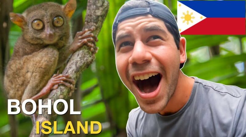 PHILIPPINEN MAGAZIN - VIDEOSAMMLUNG - Mein neues Lieblingstier – Tariser auf der Insel Bohol