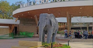 PHILIPPINEN MAGAZIN - TAGESTHEMA - Der neue Zoo von Manila