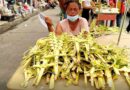 PHILIPPINEN BLOG - Eindrücke vom Palmsonntag in der Stadt Foto von Sir Dieter Sokoll, KOR