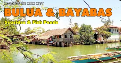 PHILIPPINEN MAGAZIN - VIDEOKANAL - BULUA & BAYABAS Meeresstrände und Fischteiche Foto + Video von Sir Dieter Sokoll, KOR