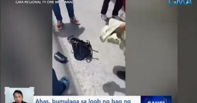PHILIPPINEN MAGAZIN - NACHRICHTEN - Snake found inside a bag in Davao City