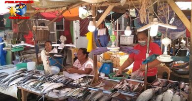 PHILIPPINEN MAGAZIN - FOTO DES TAGES - Fischhändlerinnen auf dem Markt Foto von Sir Dieter Sokoll, KOR