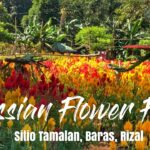Celossian Flower Farm im Video