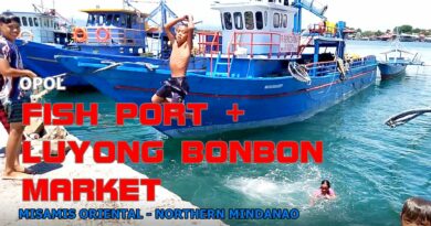 PHILIPPINEN MAGAZIN - VIDEOKANAL - OPOL FISH PORT & LUYONG BONBON MARKET Foto + Video von Sir Dieter Sokoll, KOR