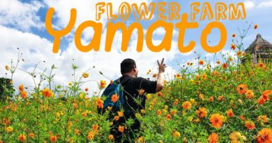 PHILIPPINEN MAGAZIN - TAGESTHEMA - SAMSTAGSTHEMA: BLUMENGÄRTEN - Yamoto Flower Farm in der Provinz Iloilo