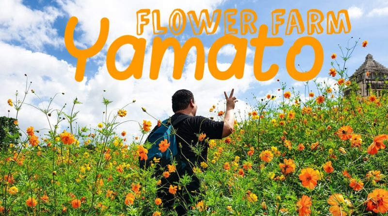 PHILIPPINEN MAGAZIN - TAGESTHEMA - SAMSTAGSTHEMA: BLUMENGÄRTEN - Yamoto Flower Farm in der Provinz Iloilo