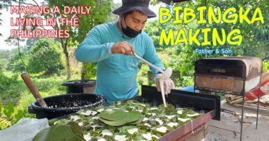 PHILIPPINEN MAGAZIN - VIDEOKANAL - Lebensunterhalt auf den Philippinen BIBINGKA MAKING