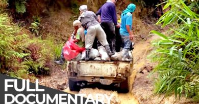 PHILIPPINEN MAGAZIN - VIDEOSAMMLUNG - Tödliche Straßen | Philippinen: Der Mensch und der Monsun