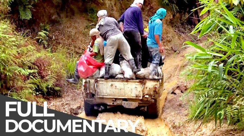 PHILIPPINEN MAGAZIN - VIDEOSAMMLUNG - Tödliche Straßen | Philippinen: Der Mensch und der Monsun