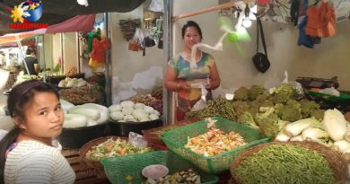 PHILIPPINEN MAGAZIN - FOTO DES TAGES - Gemüsemischungen vom Markt