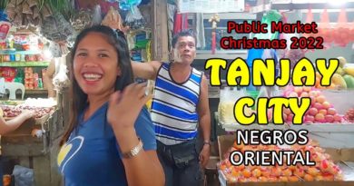 Unser Videokanal - Public Market Christmas 2022 TANJAY CITY Negros Oriental