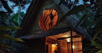 Ausflüge in VisMin: Jungle Hut auf Siquijor