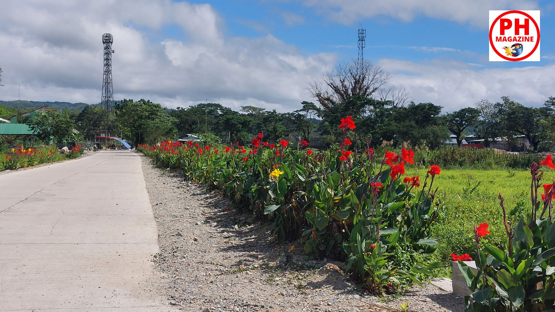 MEINE FOTOSERIE: Blumenbepflanzung an einer Zufahrtsstraße