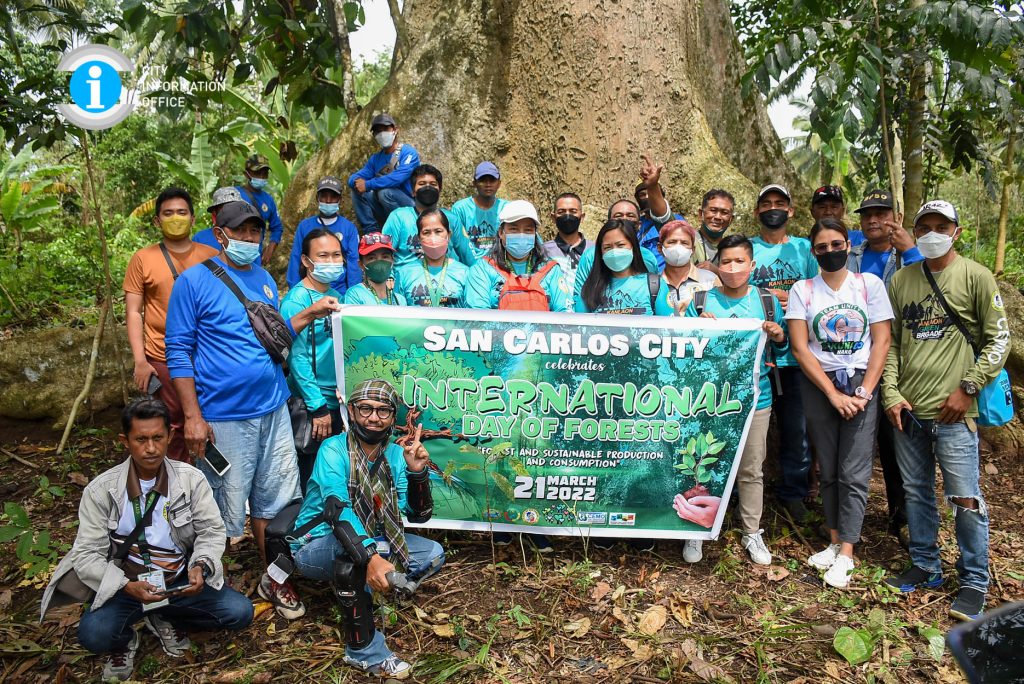 IDEEN FÜR AUSFLÜGE: 100 Jahre alter Bayang Baum in Negros Occidental