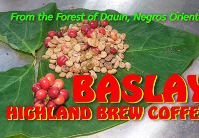 Das VIDEO aus dem VIDEOKANAL: BASLAY HIGHLAND BREW COFFEE from the Forest in Dauin