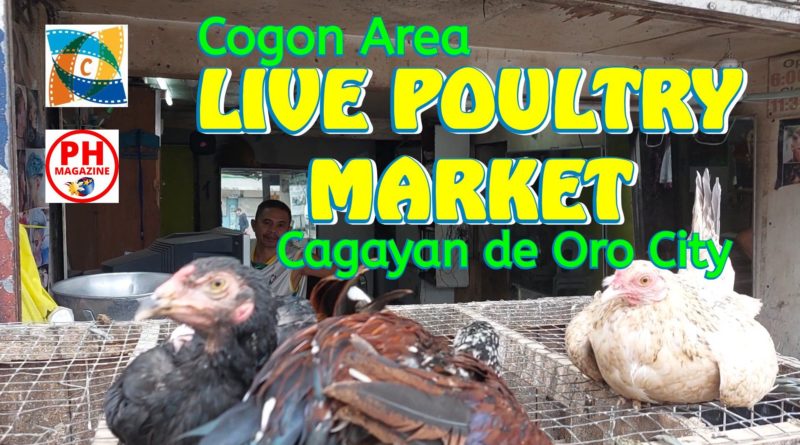 PHILIPPINEN MAGAZIN - VIDEOKANAL - LIVE POULTRY MARKET | Cogon Area | Cagayan de Oro City
