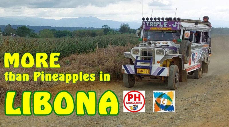 PHILIPPINEN MAGAZIN - VIDEOKANAL - MEHR als nur Ananas in LIBONA