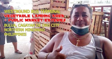 PHILIPPINEN MAGAZIN - VIDEOSAMMLUNG - Auf dem Gemüsegroßhandel-Markt in Bulua