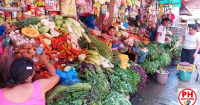 PHILIPPINEN MAGAZIN - FOTOSERIE - Auf dem Gemüsemarkt mit seinen Farben