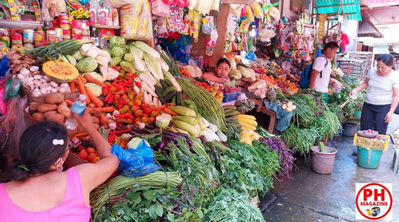 PHILIPPINEN MAGAZIN - FOTOSERIE - Auf dem Gemüsemarkt mit seinen Farben