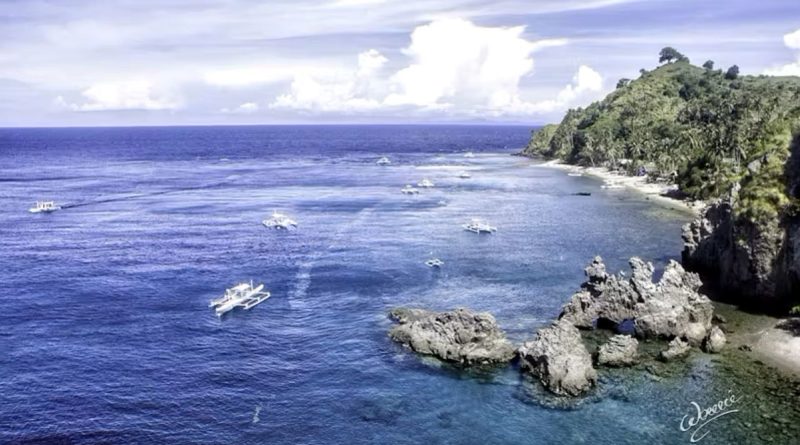 PHILIPPINEN MAGAZIN - MONTAGSTHEMA: REISEZIELE in den VISAYAS - Apo Island in Negros Oriental