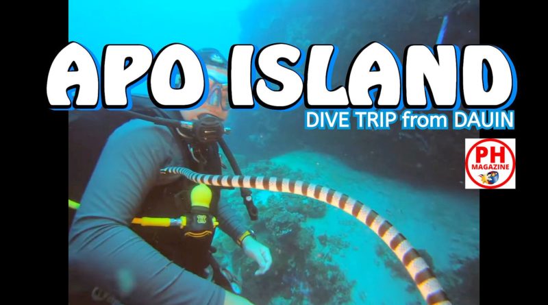 PHILIPPINEN MAGAZIN - VIDEOKANAL - APO ISLAND - Diving Trip from Dauin