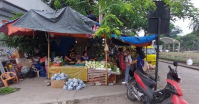 PHILIPPINEN MAGAZIN - FOTOS - An den Obst- und Gemüseständen in Bacong