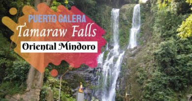 PHILIPPINEN MAGAZIN - DIENSTAGSTHEMA - WASSERFÄLLE - Tamaraw Falls in Oriental Mindoro